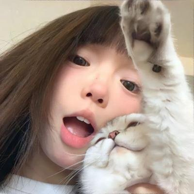 真情给你